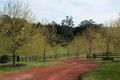 Property photo of 982 Sheepwash Road Avoca NSW 2577