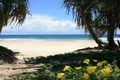 Property photo of 4/35 Nautilus Way Kingscliff NSW 2487