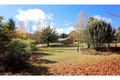 Property photo of 285 Elliott Way Paddys River NSW 2653