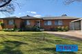 Property photo of 13 Claret Avenue Muswellbrook NSW 2333