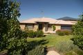 Property photo of 33 Ebony Close Hillvue NSW 2340