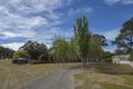 Property photo of 701 Elephant Pass Road Gray TAS 7215