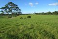 Property photo of 140 McCarthy Road Maleny QLD 4552
