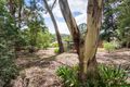 Property photo of 131 Mount Barker Road Hahndorf SA 5245