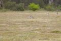 Property photo of 150 Putty Valley Road Putty NSW 2330