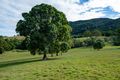 Property photo of 21 Rowe Lane Cedar Creek QLD 4207