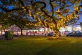 Property photo of 11/54 Jackson Street Hamilton QLD 4007