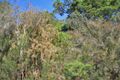 Property photo of 24 The Rampart Umina Beach NSW 2257