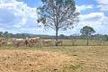 Property photo of 60 Mockers Road Fairney View QLD 4306