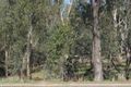 Property photo of 15 Broken River Drive Shepparton VIC 3630