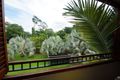 Property photo of 35/294-310 Kamerunga Road Freshwater QLD 4870