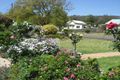 Property photo of 120 Edward Street Gunnedah NSW 2380