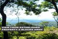 Property photo of 335 Repeater Station Road Springbrook QLD 4213