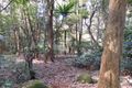 Property photo of 335 Repeater Station Road Springbrook QLD 4213