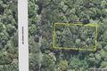 Property photo of 335 Repeater Station Road Springbrook QLD 4213