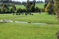 Property photo of 389 Yinnar-Driffield Road Yinnar VIC 3869