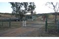Property photo of 14 Jims Road West Blenheim QLD 4341