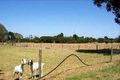 Property photo of 645 Tyabb-Tooradin Road Pearcedale VIC 3912