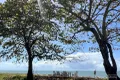 Property photo of 21 Esplanade Flying Fish Point QLD 4860