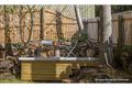 Property photo of 9 Kinabalu Drive Tamborine Mountain QLD 4272