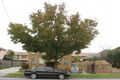 Property photo of 3/94 Herbert Street Dandenong VIC 3175