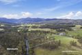 Property photo of 151 Mountain River Road Grove TAS 7109
