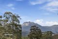 Property photo of 151 Mountain River Road Grove TAS 7109