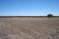 Property photo of 1 Boucaut Road Jamestown SA 5491