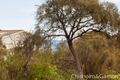 Property photo of 4/57 Ormond Esplanade Elwood VIC 3184