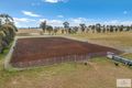 Property photo of 93 Glenara Road Bithramere NSW 2340