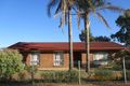 Property photo of 20 Banksia Street Renmark SA 5341