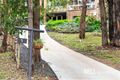 Property photo of 5 Sunnyside Terrace Emerald VIC 3782