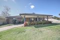 Property photo of 11 Toms Drive Cobram VIC 3644