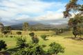 Property photo of 144 Gills Lane Brunkerville NSW 2323