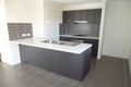 Property photo of 50 Cottonwood Crescent Springfield Lakes QLD 4300