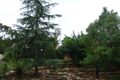 Property photo of 17 Francis Greenway Drive Cherrybrook NSW 2126