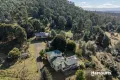 Property photo of 36514 Tasman Highway Springfield TAS 7260