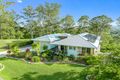 Property photo of 6 Lilly Pilly Rise Eumundi QLD 4562