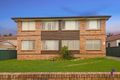 Property photo of 5/81 Augusta Street Punchbowl NSW 2196