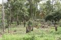 Property photo of 8 Archer Road Spring Creek QLD 4343