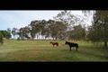 Property photo of 398 Bridgman Road Wattle Ponds NSW 2330