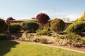 Property photo of 77 Melbourne Street Narrandera NSW 2700