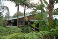 Property photo of 31 Endeavour Drive Bellingen NSW 2454