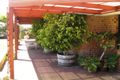 Property photo of 4 Dewar Way Ledge Point WA 6043