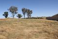 Property photo of 44 John Potts Drive Junee NSW 2663