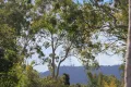Property photo of 164 Kenmore Road Fig Tree Pocket QLD 4069