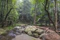 Property photo of 136 Mons School Road Buderim QLD 4556