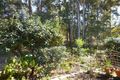 Property photo of 62/37 Old Coach Road Tallai QLD 4213