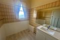 Property photo of 66 Northcote Street Canterbury NSW 2193