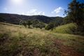 Property photo of 318-319 Spring Creek Road Mulla Creek NSW 2352
